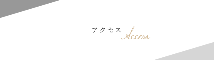 アクセス Access