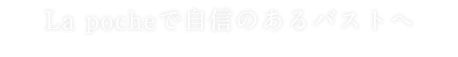 La pocheで自身のあるバストへ